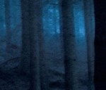 Wayward Pines
